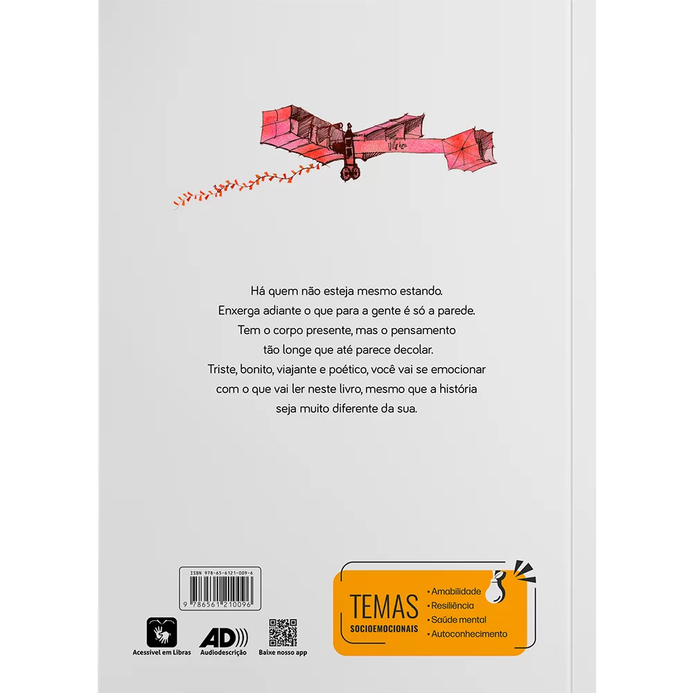 Quando minha mãe voou no 14-bis - Imagem 2