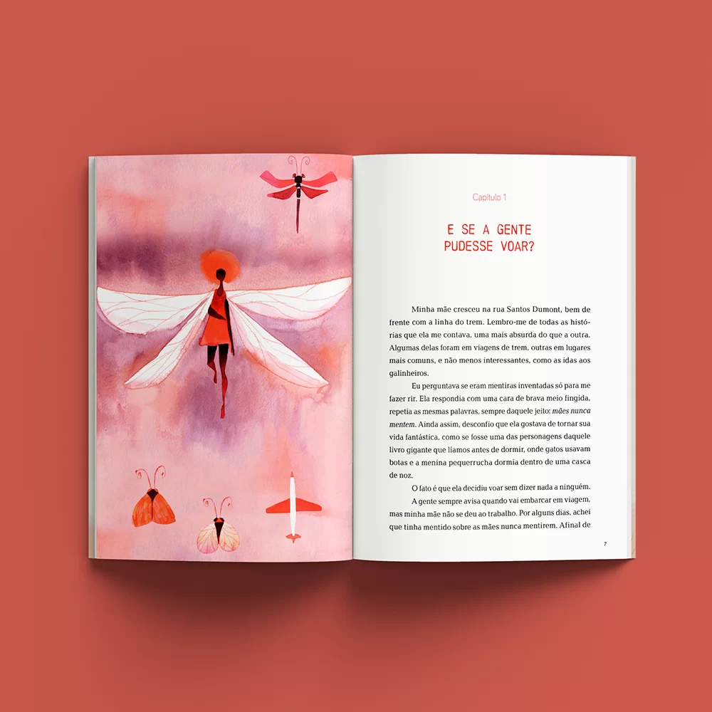 Quando minha mãe voou no 14-bis - Imagem 3